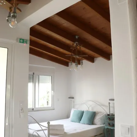 Vitis Vinifera Tranditional Holiday home Kissamos
