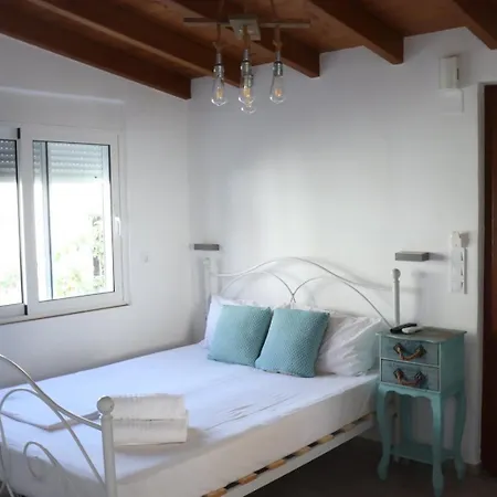 Vitis Vinifera Tranditional Holiday home Kissamos