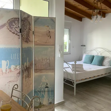 Vitis Vinifera Tranditional Holiday home *