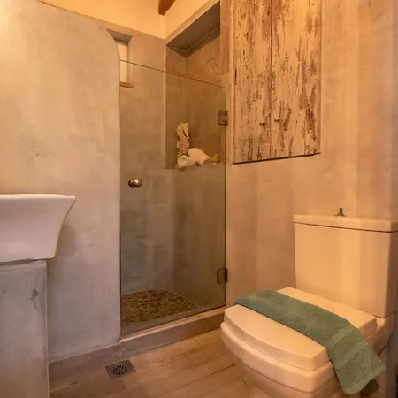 Holiday home Vitis Vinifera Tranditional