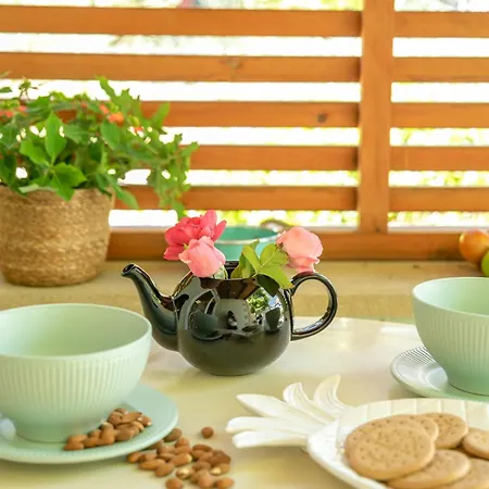 Vitis Vinifera Tranditional Holiday home *